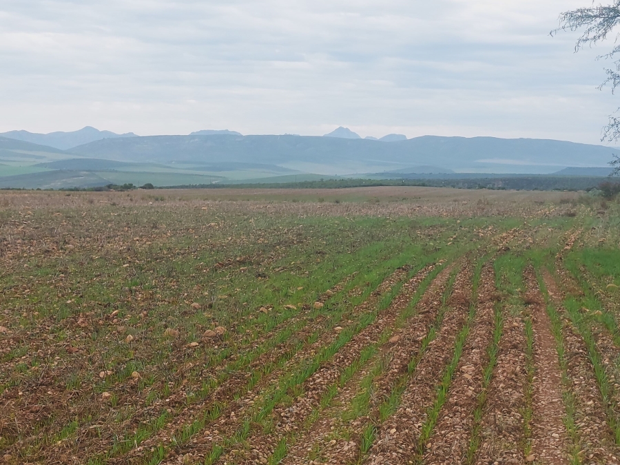 Commercial Property for Sale in George Rural Western Cape